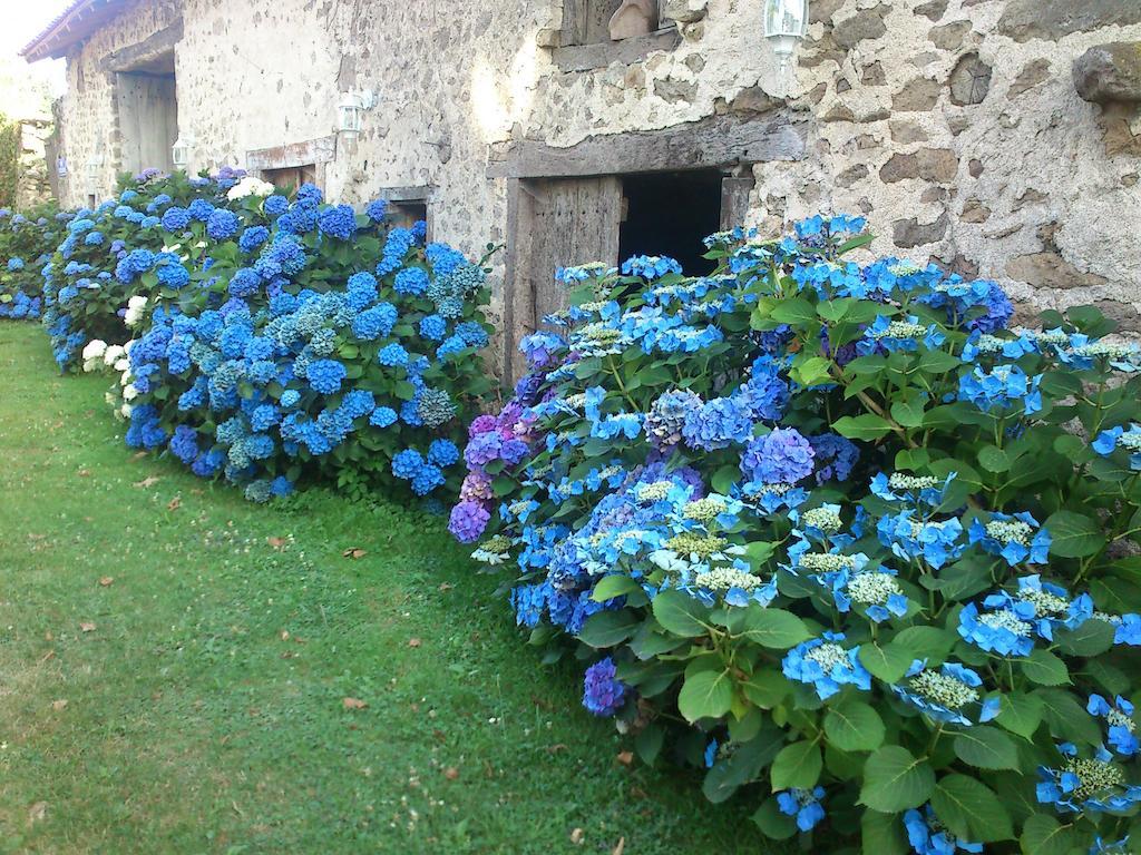 Le Domaine De Panissac Bed & Breakfast Berneuil  Exterior photo